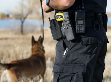 K9 Officer & dog.  Officer has radios on their waist